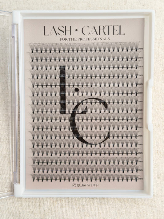 10D lash extensions